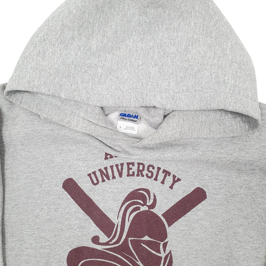 Mens Grey Gildan Arcadia Hockey USA College Hoodie Jumper