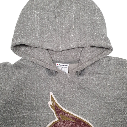 Mens Grey Champion USA College Hoodie Jumper