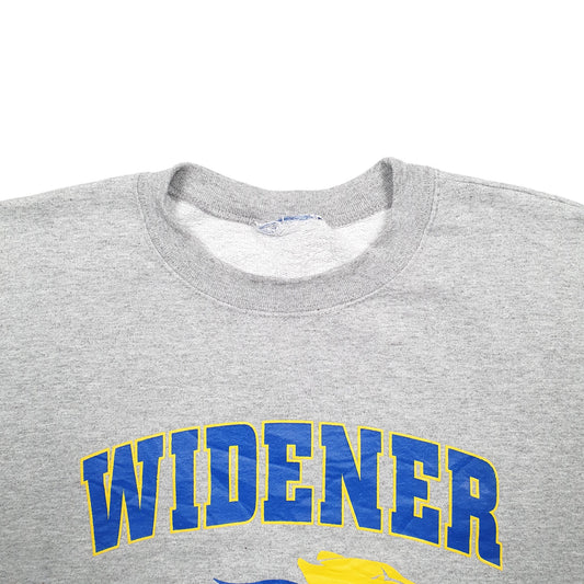 Mens Grey Champion Widened USA College Sports Spellout Crewneck Jumper