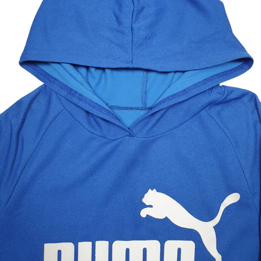 Mens Blue Puma Active Top Hoodie Jumper