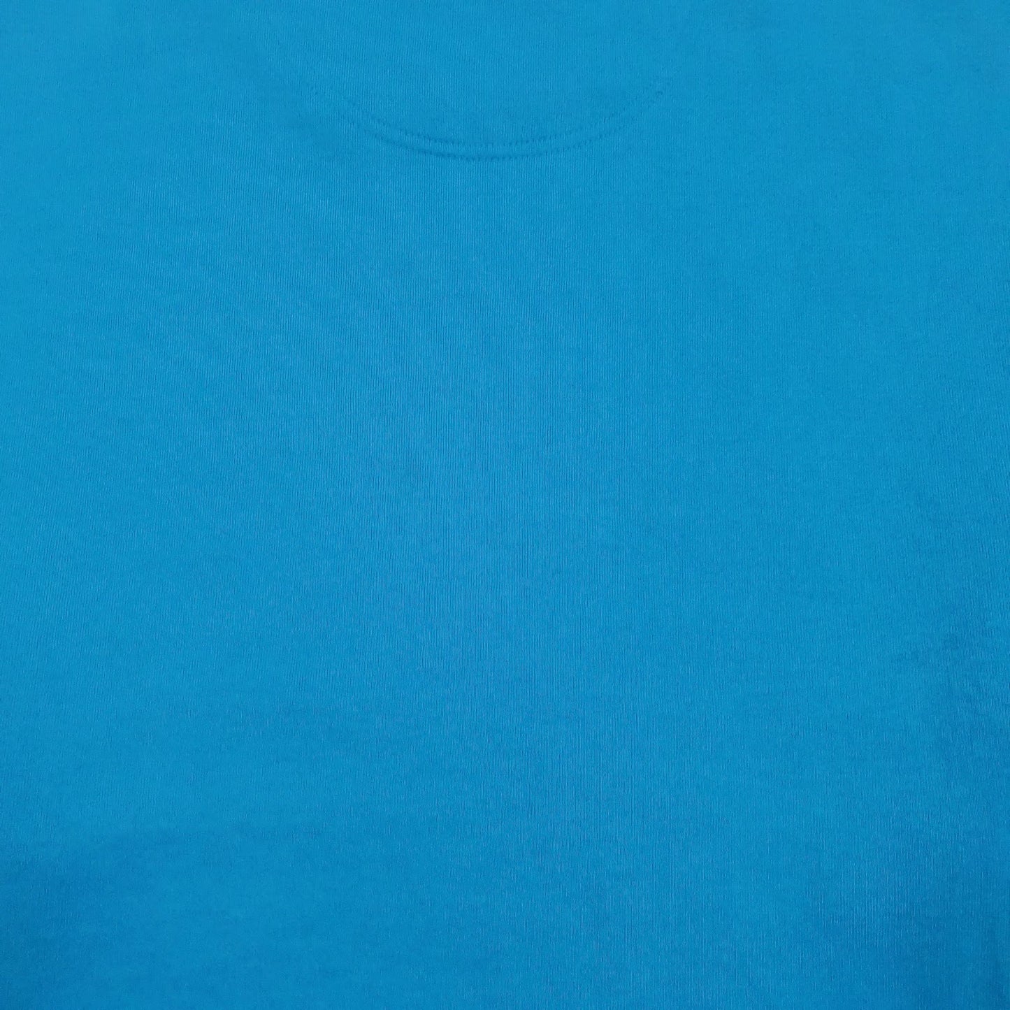Mens Blue Champion  Crewneck Jumper