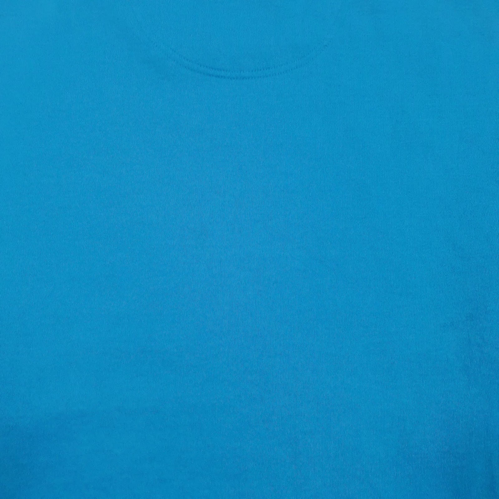 Mens Blue Champion  Crewneck Jumper
