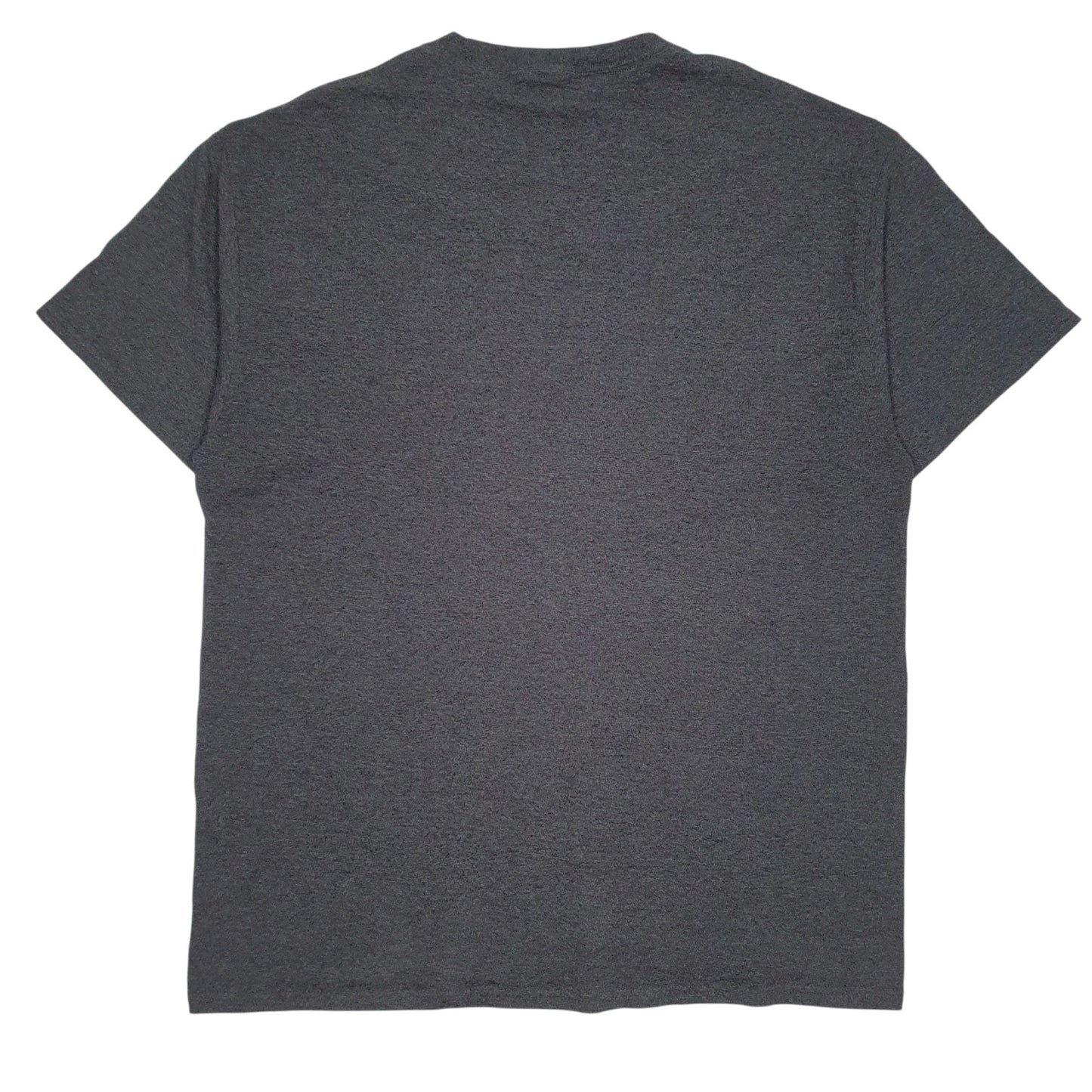 Mens Grey Unbranded Undefeated Season  T Shirt