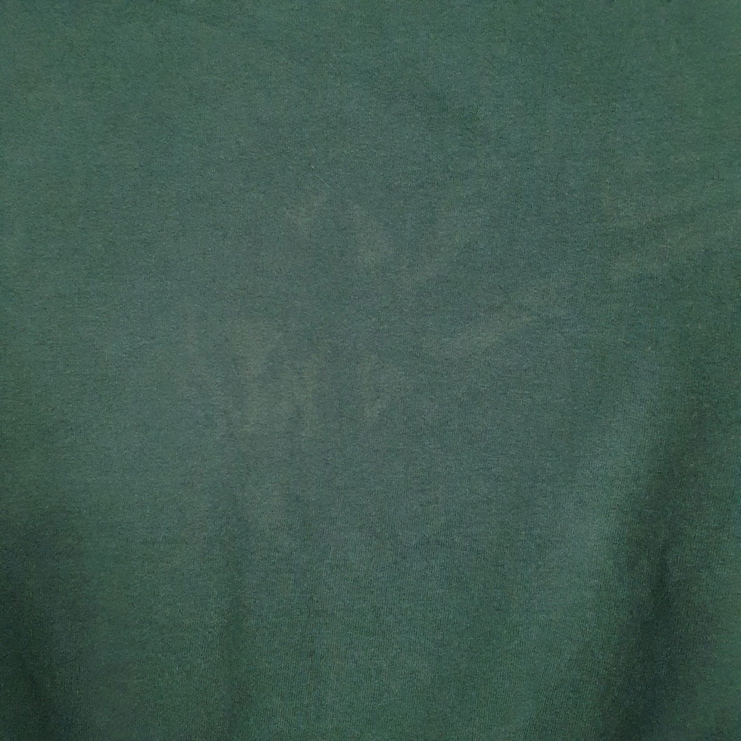 Mens Green Champion  Hoodie Jumper