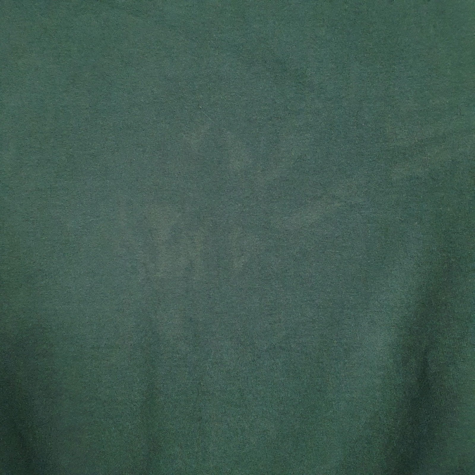 Mens Green Champion  Hoodie Jumper