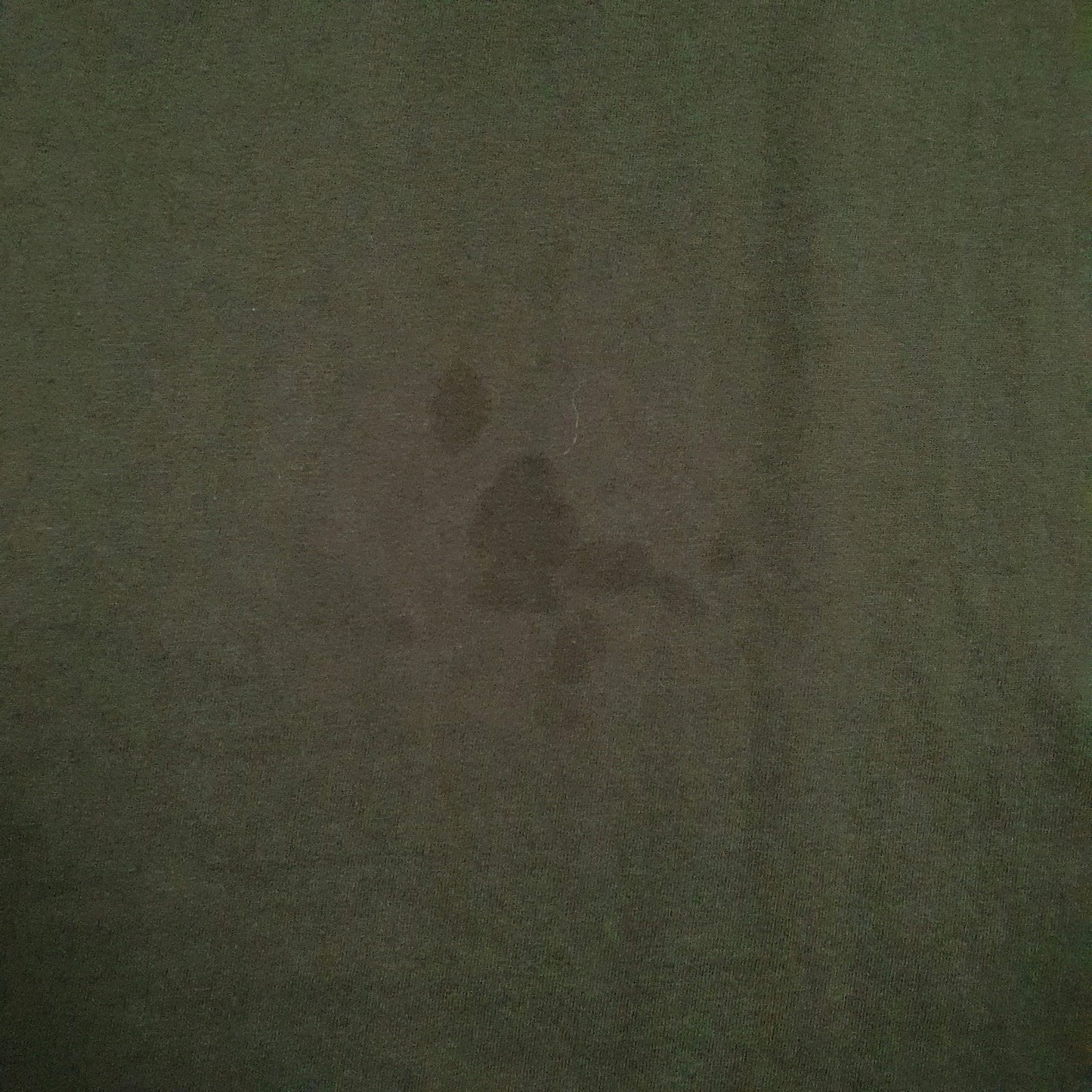 Mens Green Polo Ralph Lauren Spellout  T Shirt