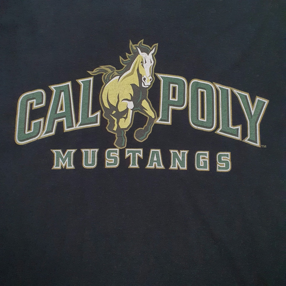 Mens Black Jerzees Cal Poly Mustang  T Shirt