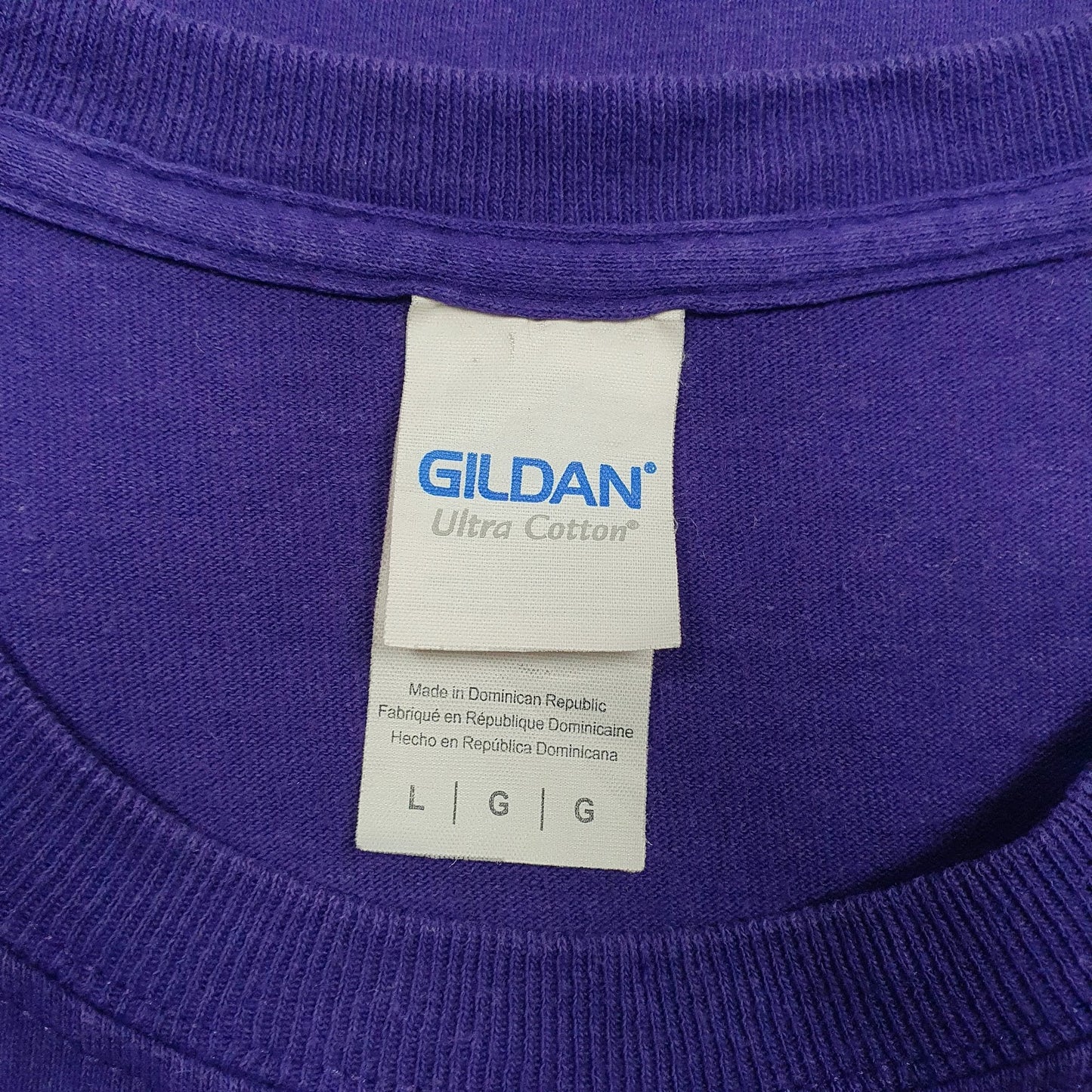 Mens Purple Gildan Brownsburg Swim Club  T Shirt