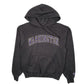 Mens Grey Champion Washington University Hoodie Jumper