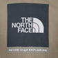 Mens Brown The North Face  Hoodie Jumper