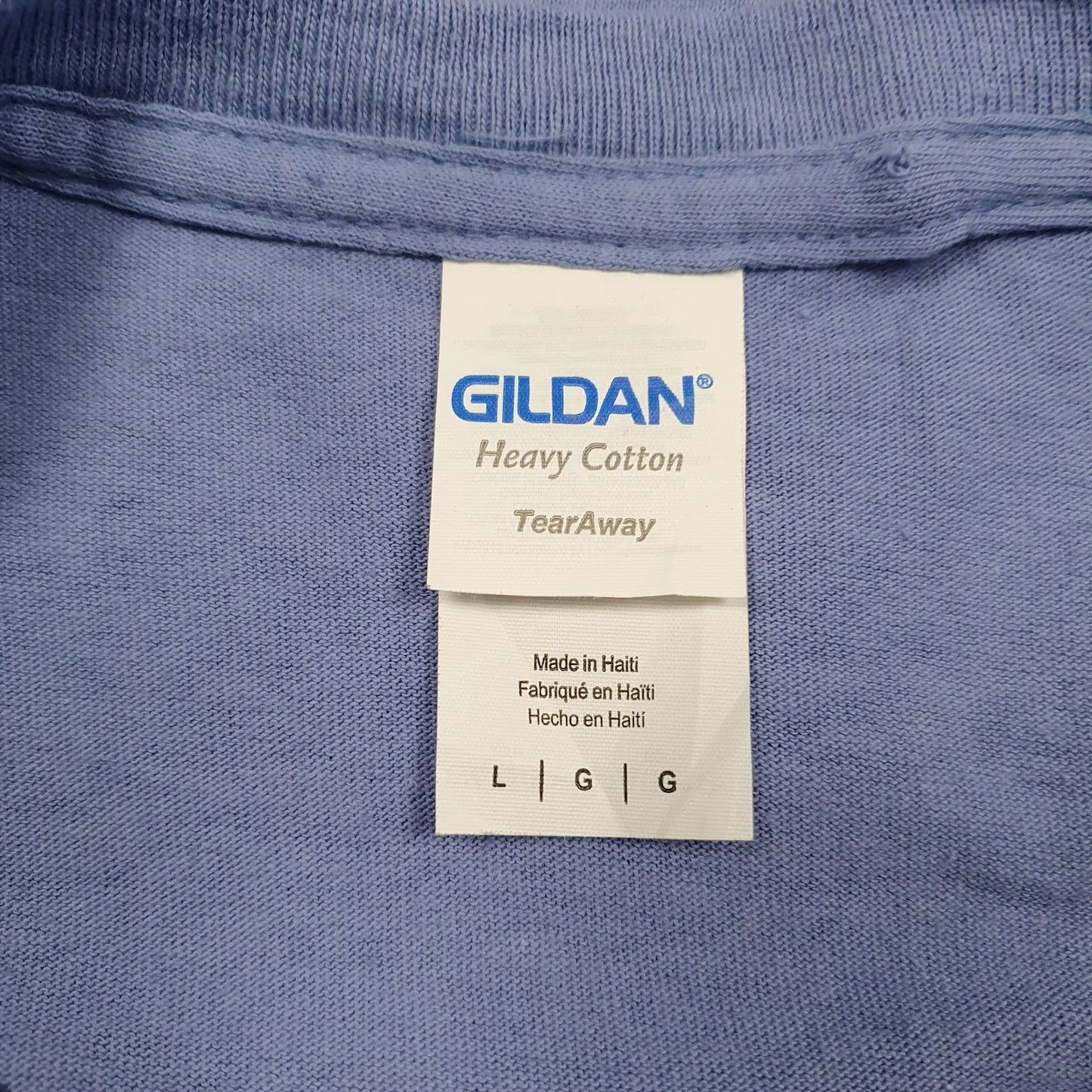 Mens Blue Gildan Memorial Activity Day  T Shirt