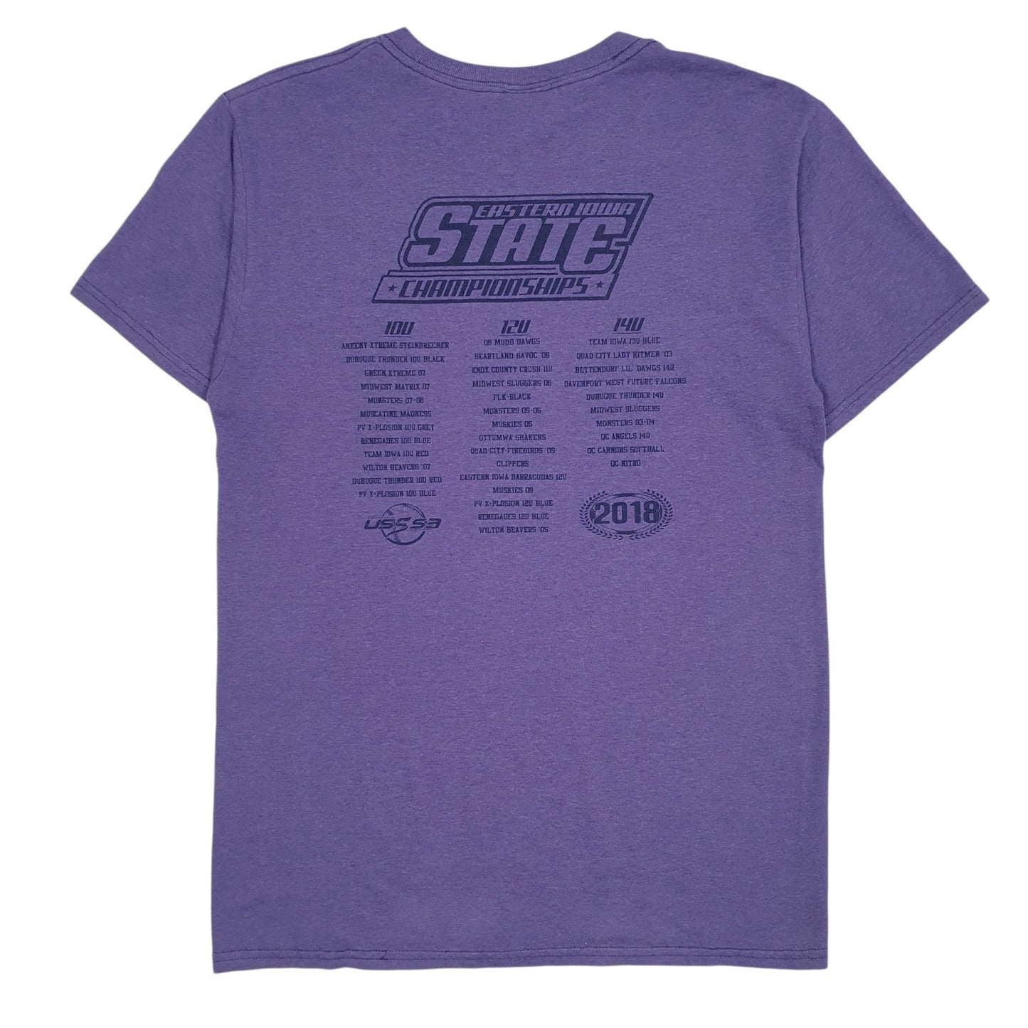 Mens Purple Fruit Of The Loom Eastern Iowa Championships  T Shirt