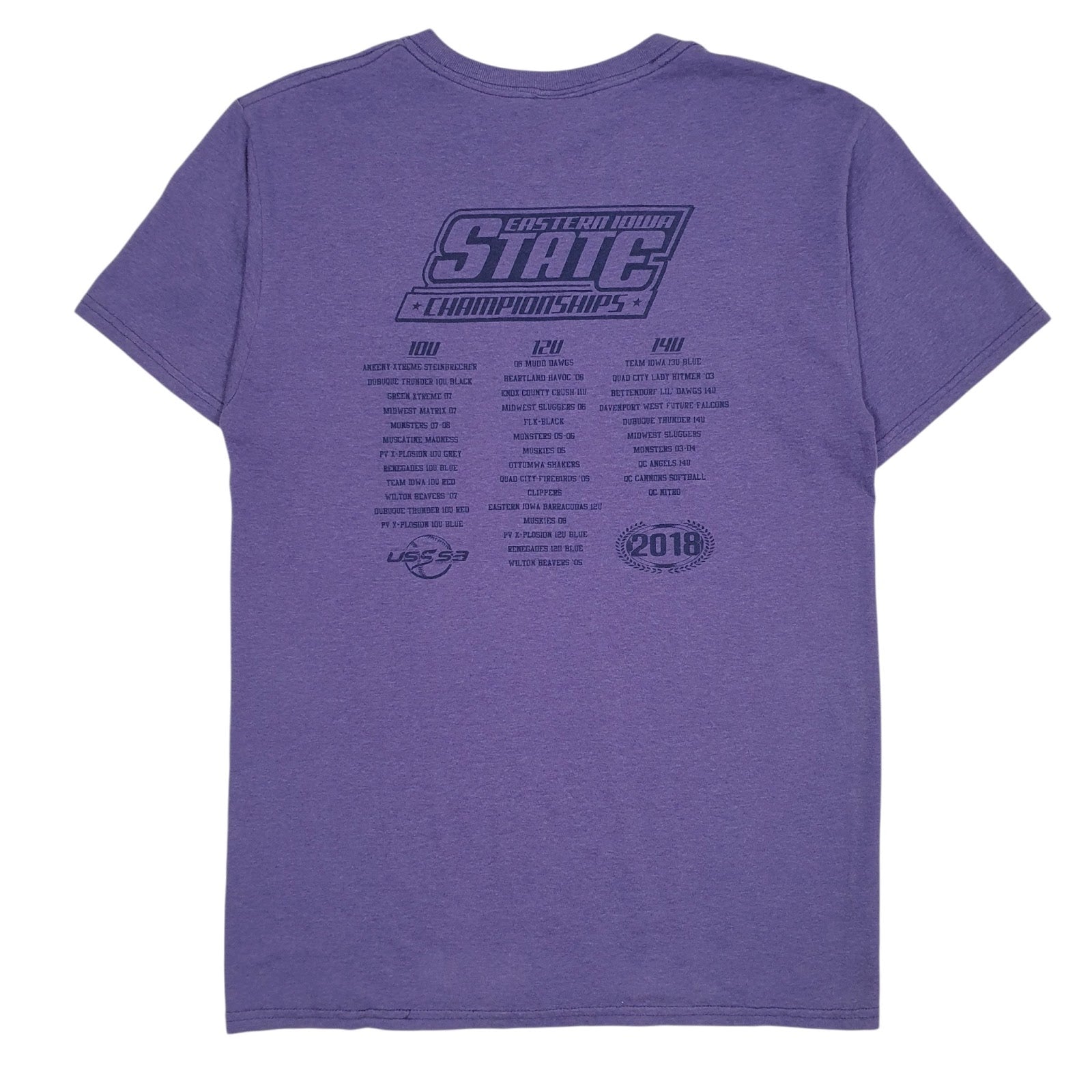 Mens Purple Fruit Of The Loom Eastern Iowa Championships  T Shirt