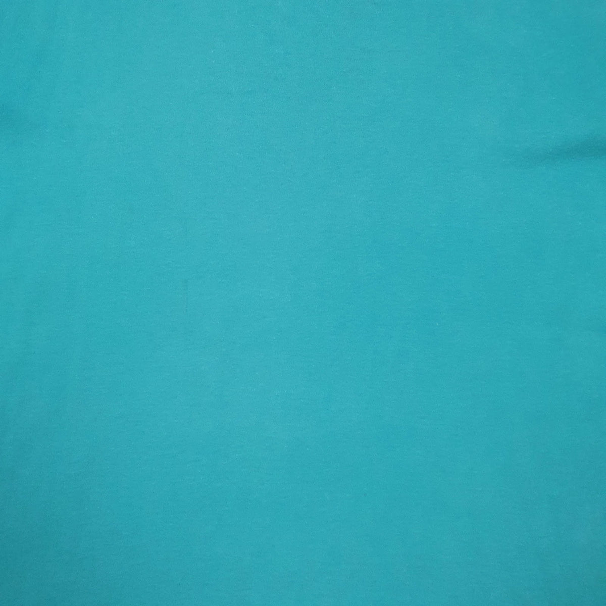Mens Blue Valentino Vintage Beach Wear  T Shirt
