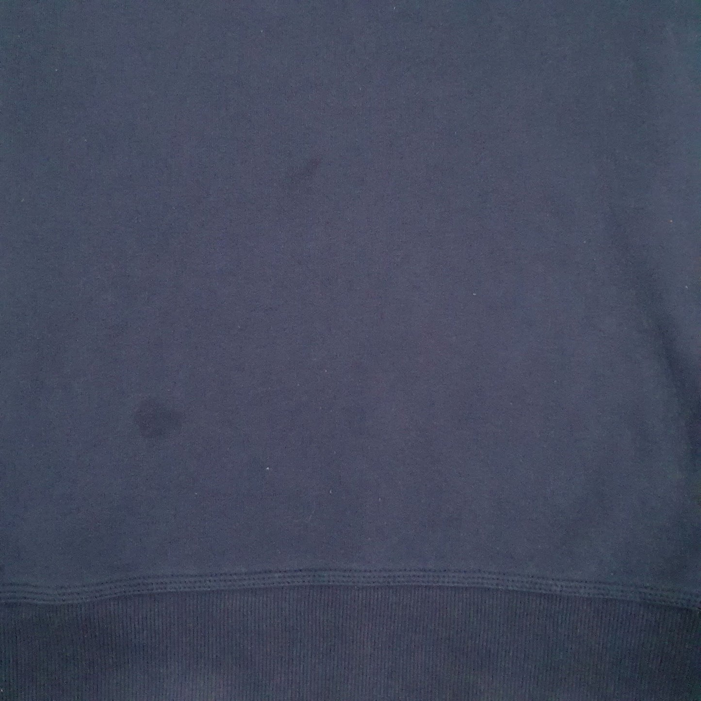 Mens Navy Champion  Crewneck Jumper