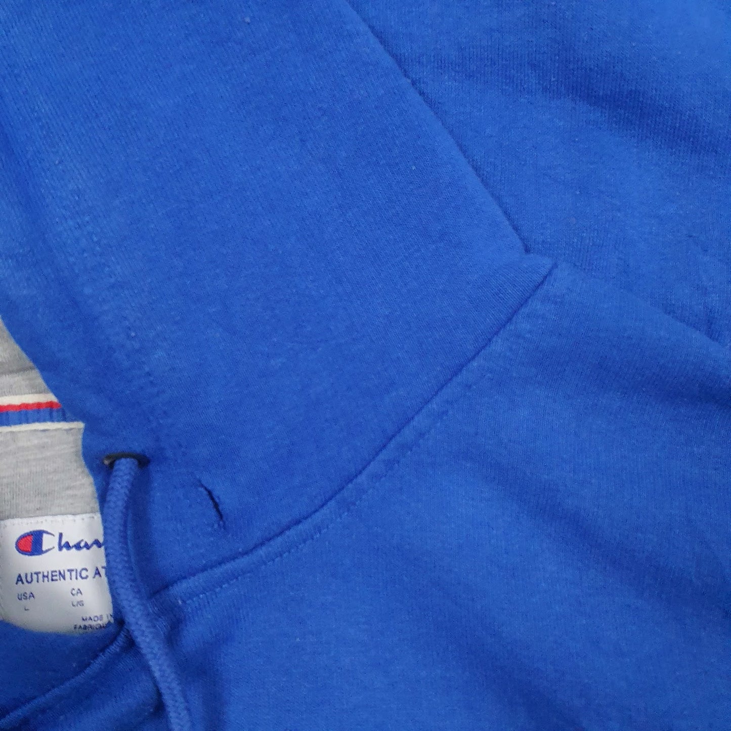 Mens Blue Champion Spellout Hoodie Jumper