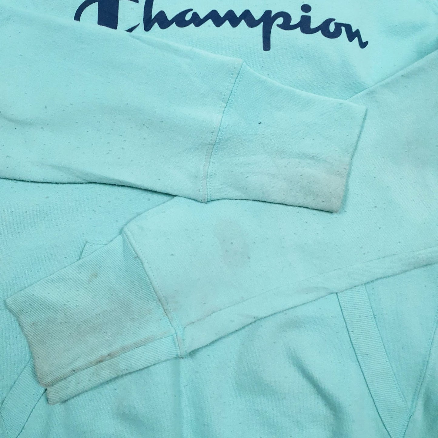 Mens Blue Champion Spellout Hoodie Jumper