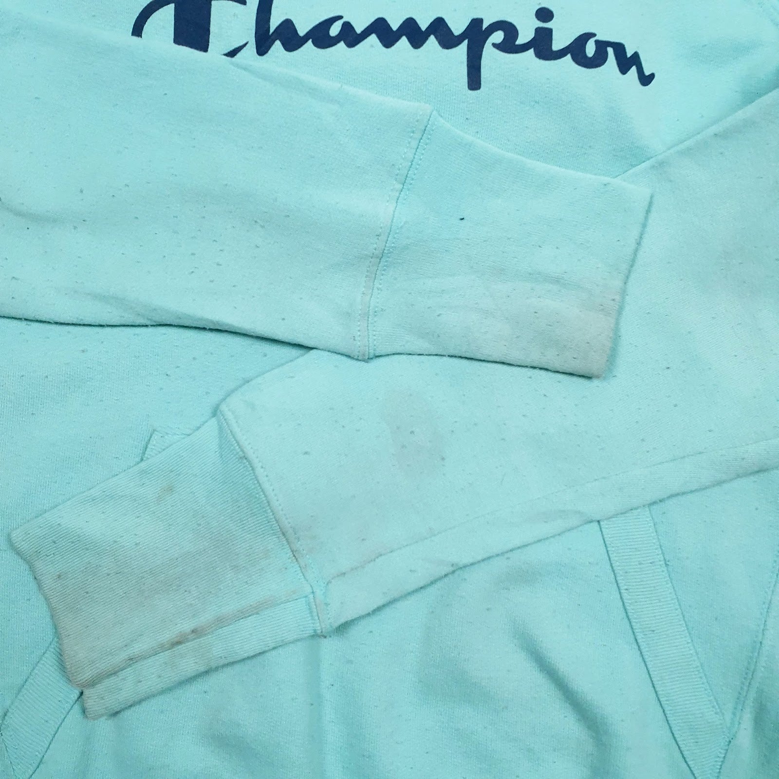 Mens Blue Champion Spellout Hoodie Jumper