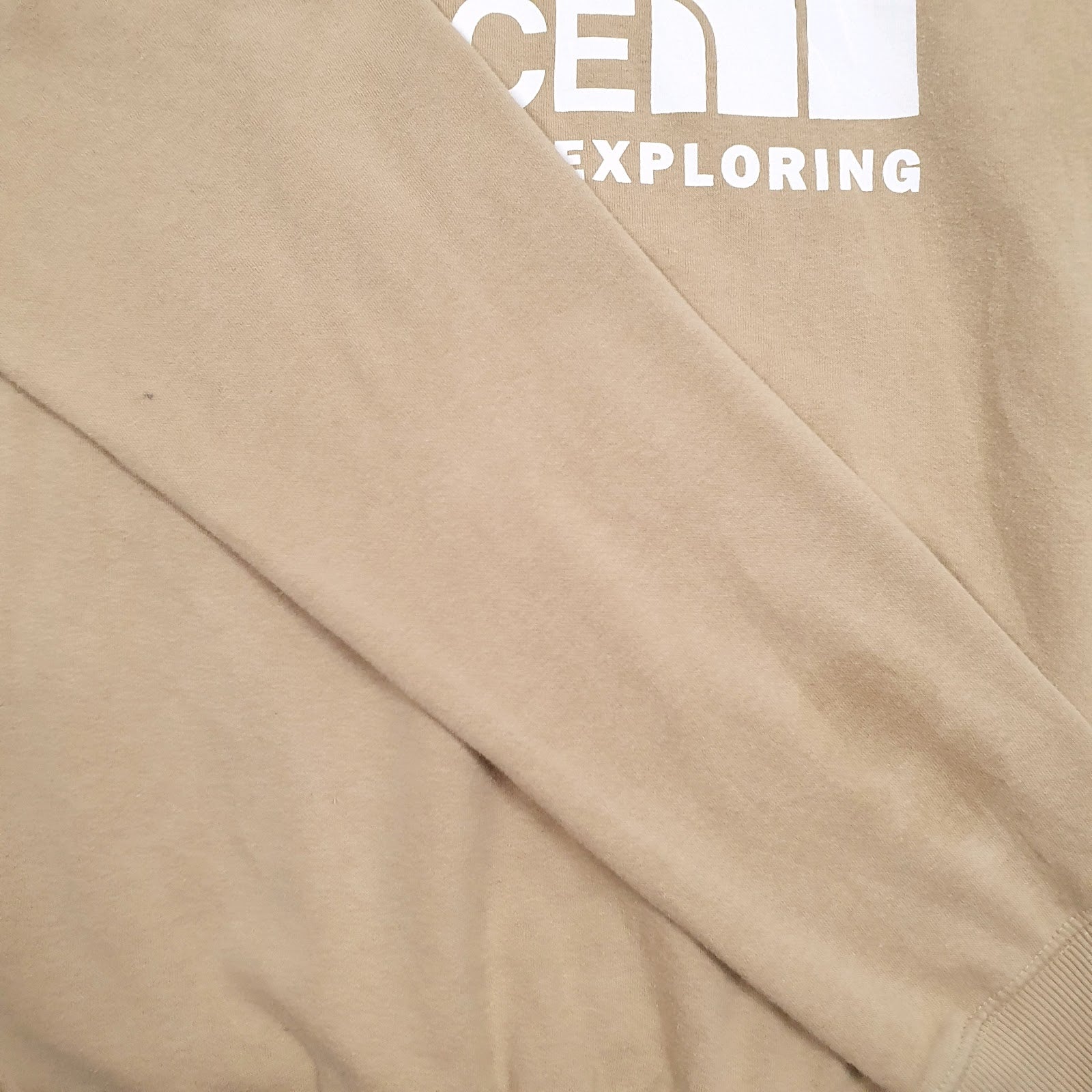 Mens Brown The North Face  Hoodie Jumper