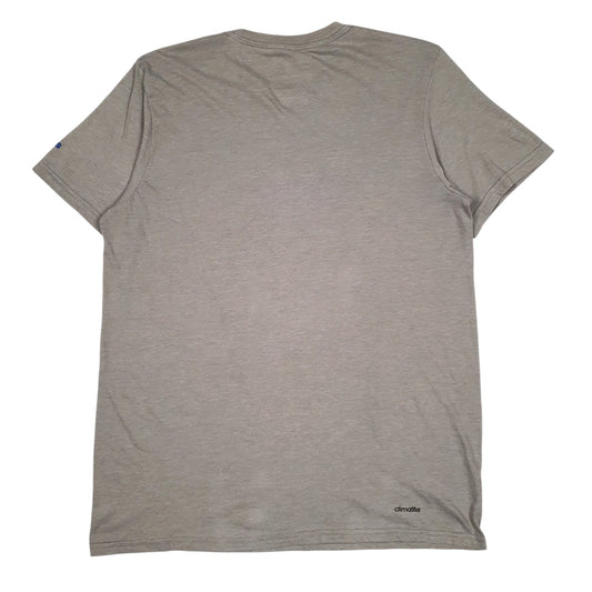 Mens Grey Adidas Climalite Asociación del Fútbol Argentino  T Shirt