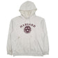 Mens Grey Champion Harvard Hoodie Jumper