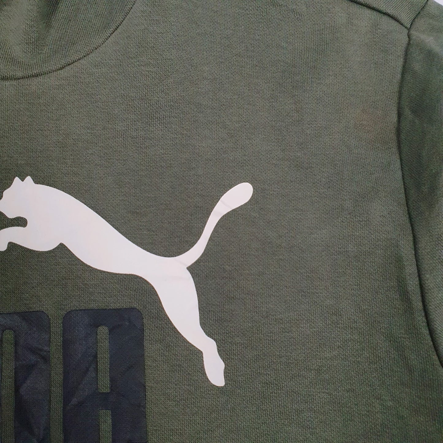 Mens Green Puma Spellout Hoodie Jumper