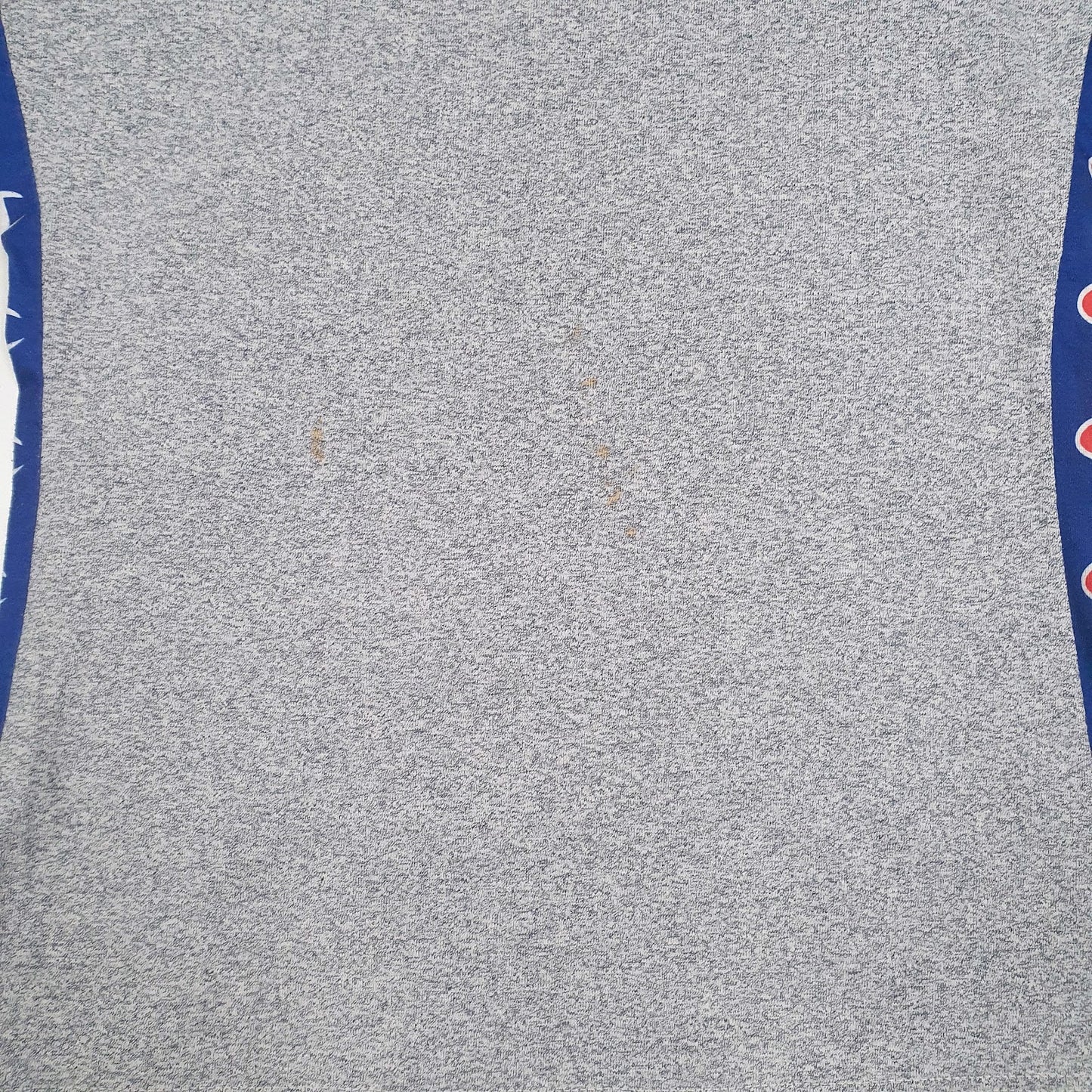 Mens Grey Champion   T Shirt