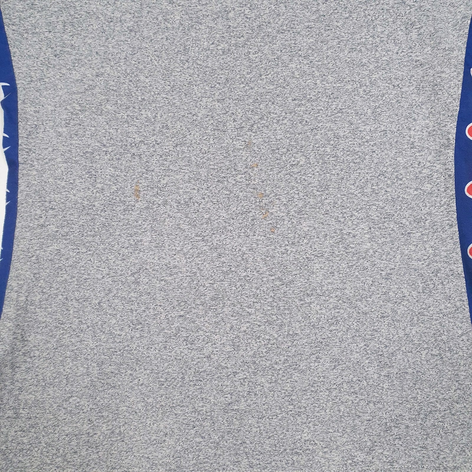 Mens Grey Champion   T Shirt