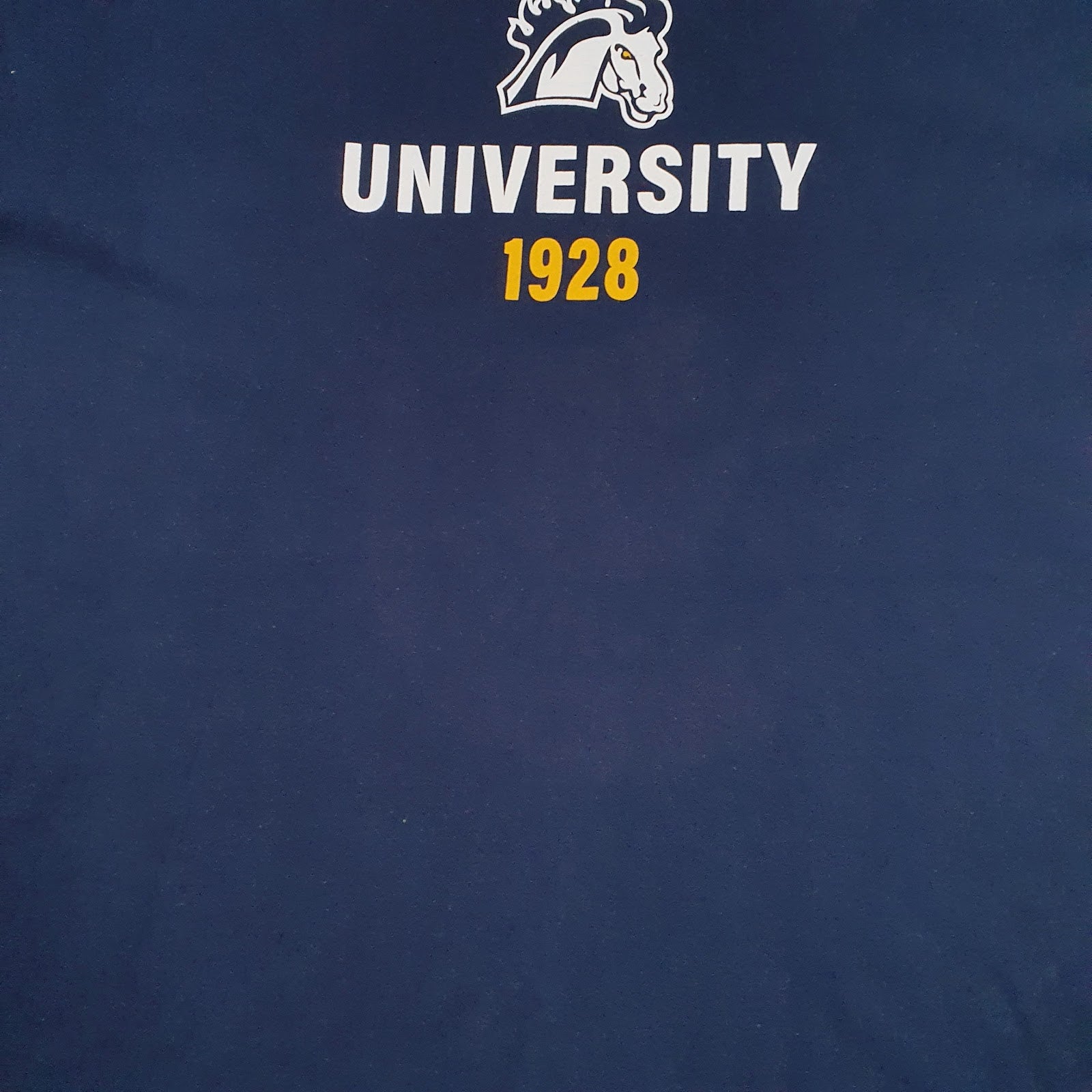 Mens Navy Fruit Of The Loom Mount Mercy University  T Shirt