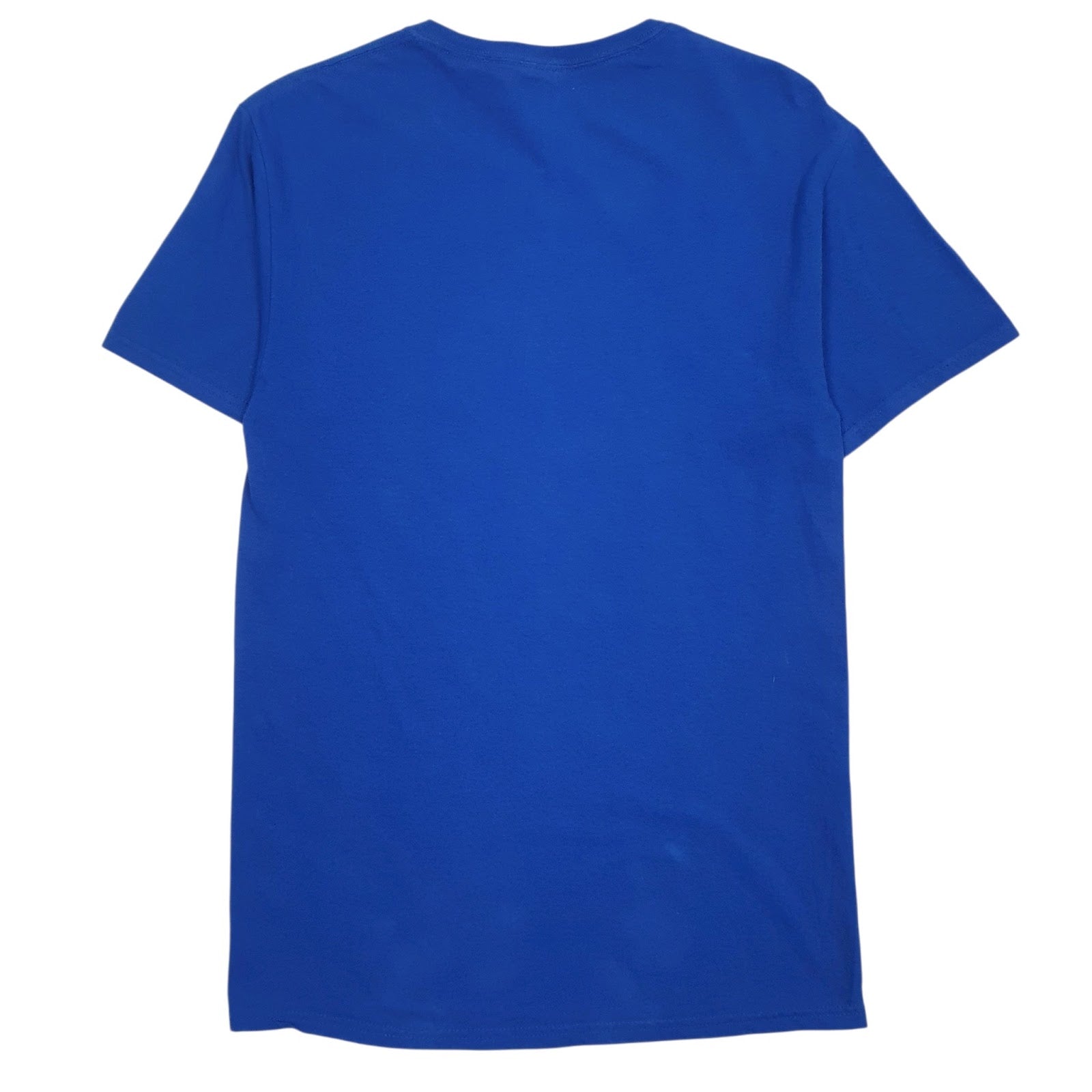 Womens Blue Fruit Of The Loom Queen Of The Pickleball Court  T Shirt