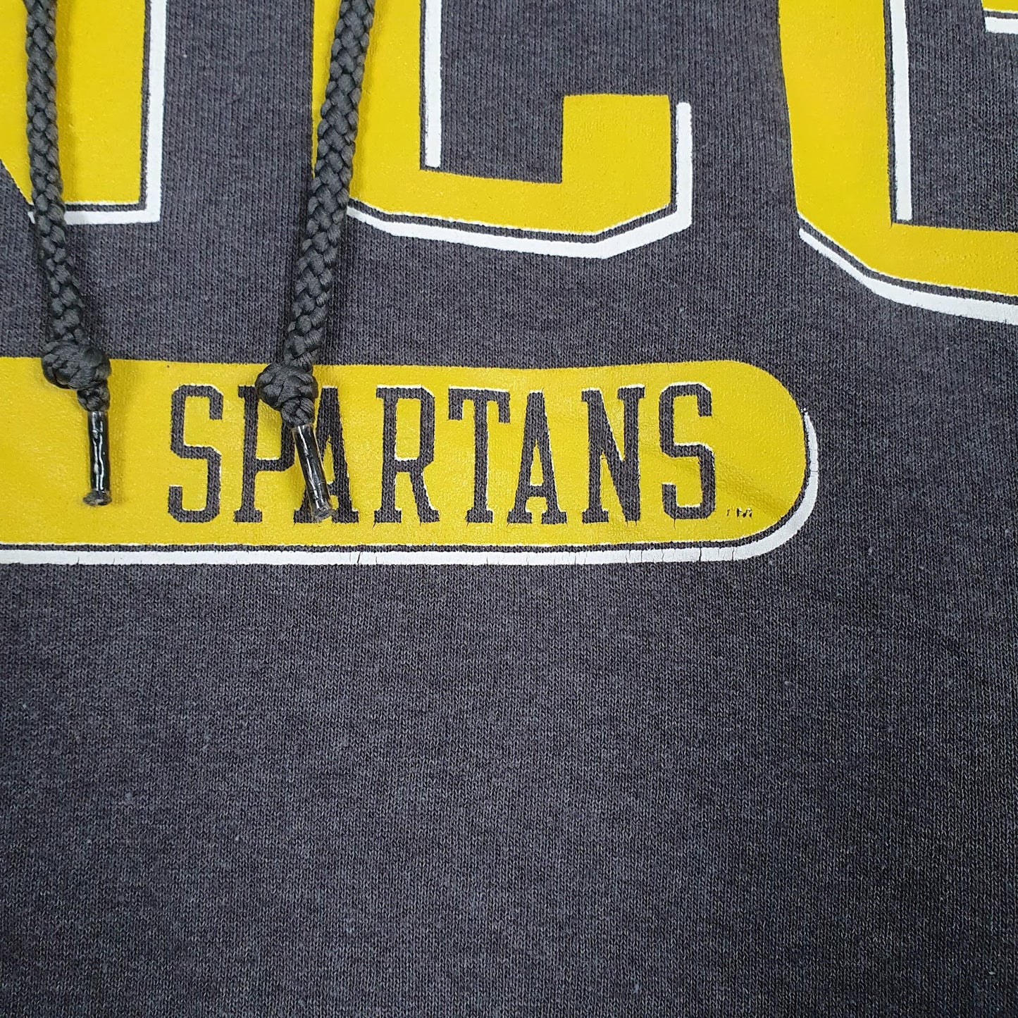 Mens Grey Champion UNCC Spartans Hoodie Jumper