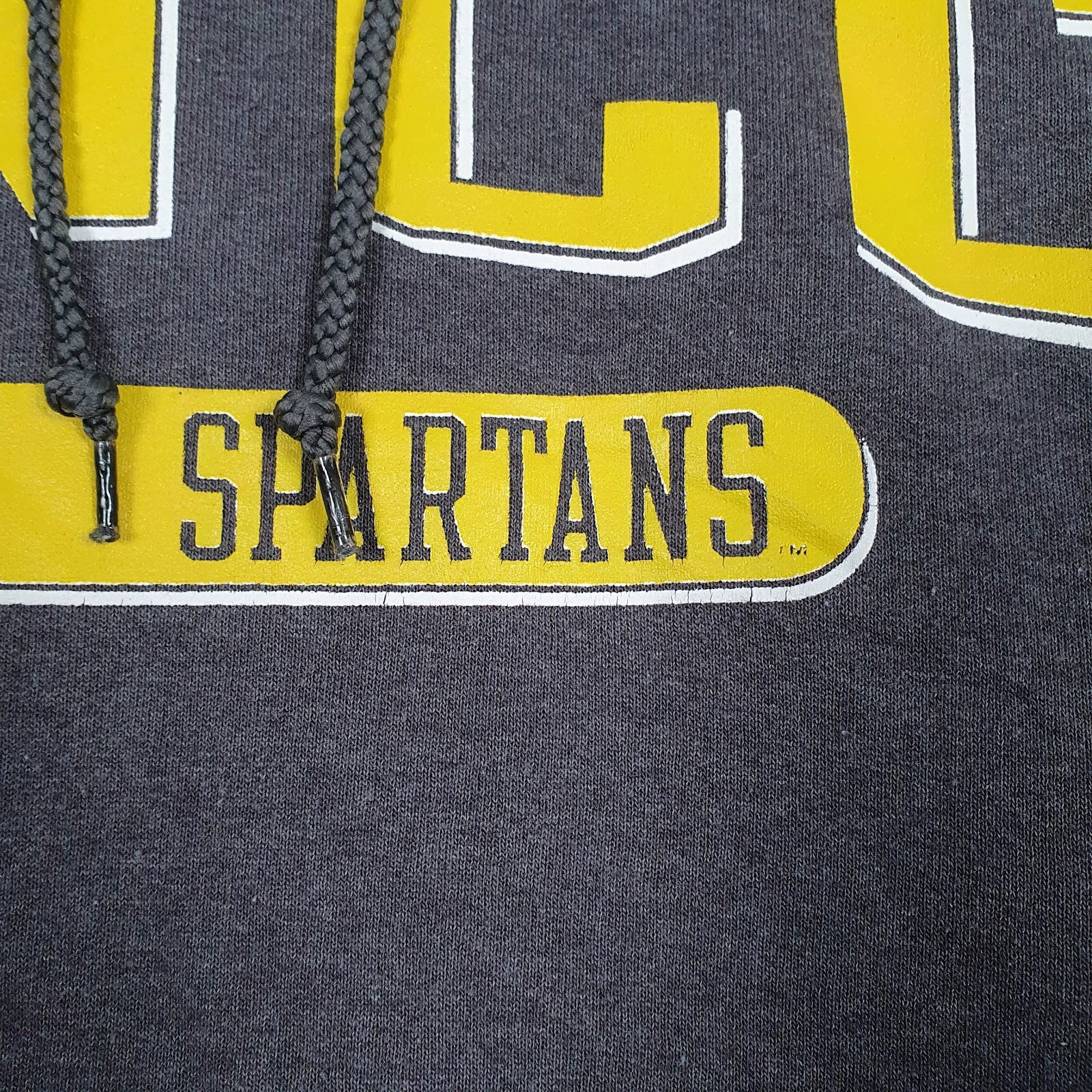 Mens Grey Champion UNCC Spartans Hoodie Jumper