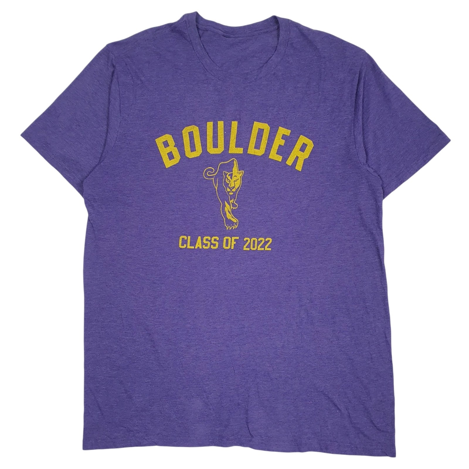Mens Purple Unbranded Boulder Short Sleeve T Shirt