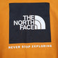 Mens Orange The North Face  Hoodie Jumper
