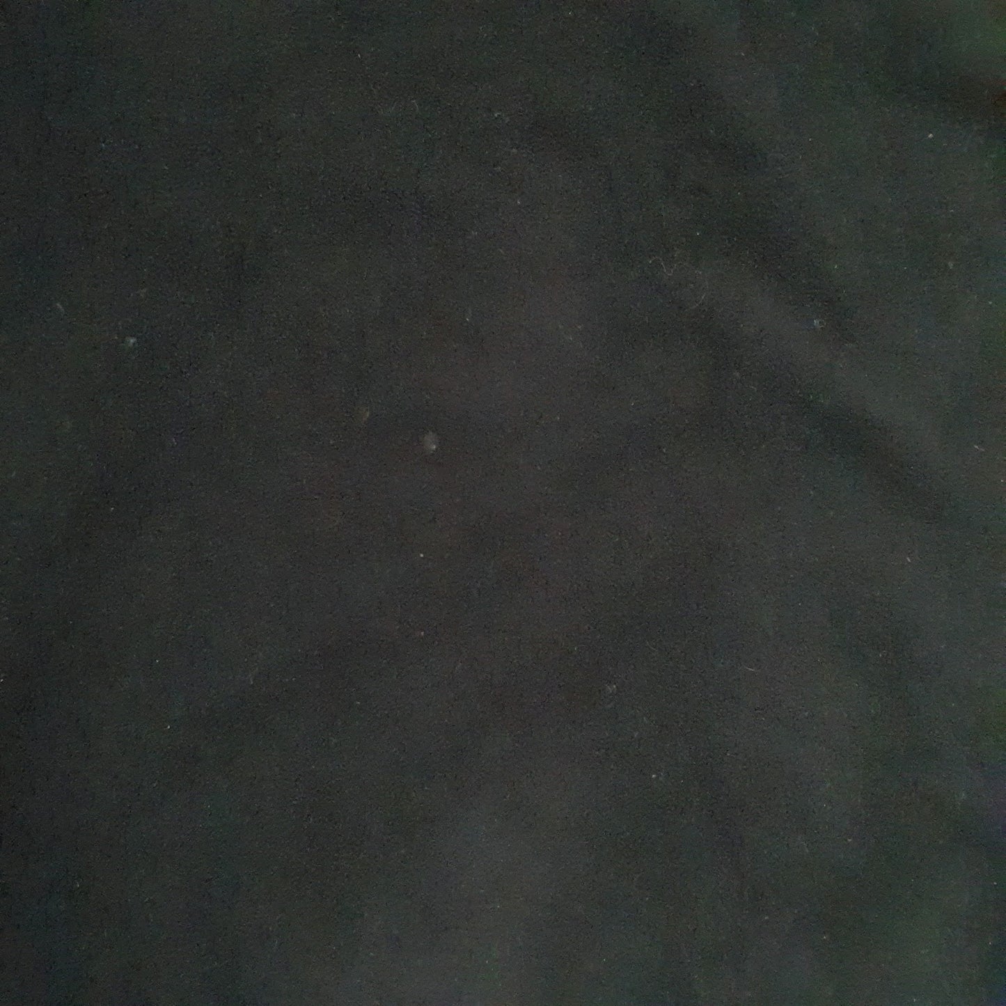 Mens Black Champion  Full Zip Jumper