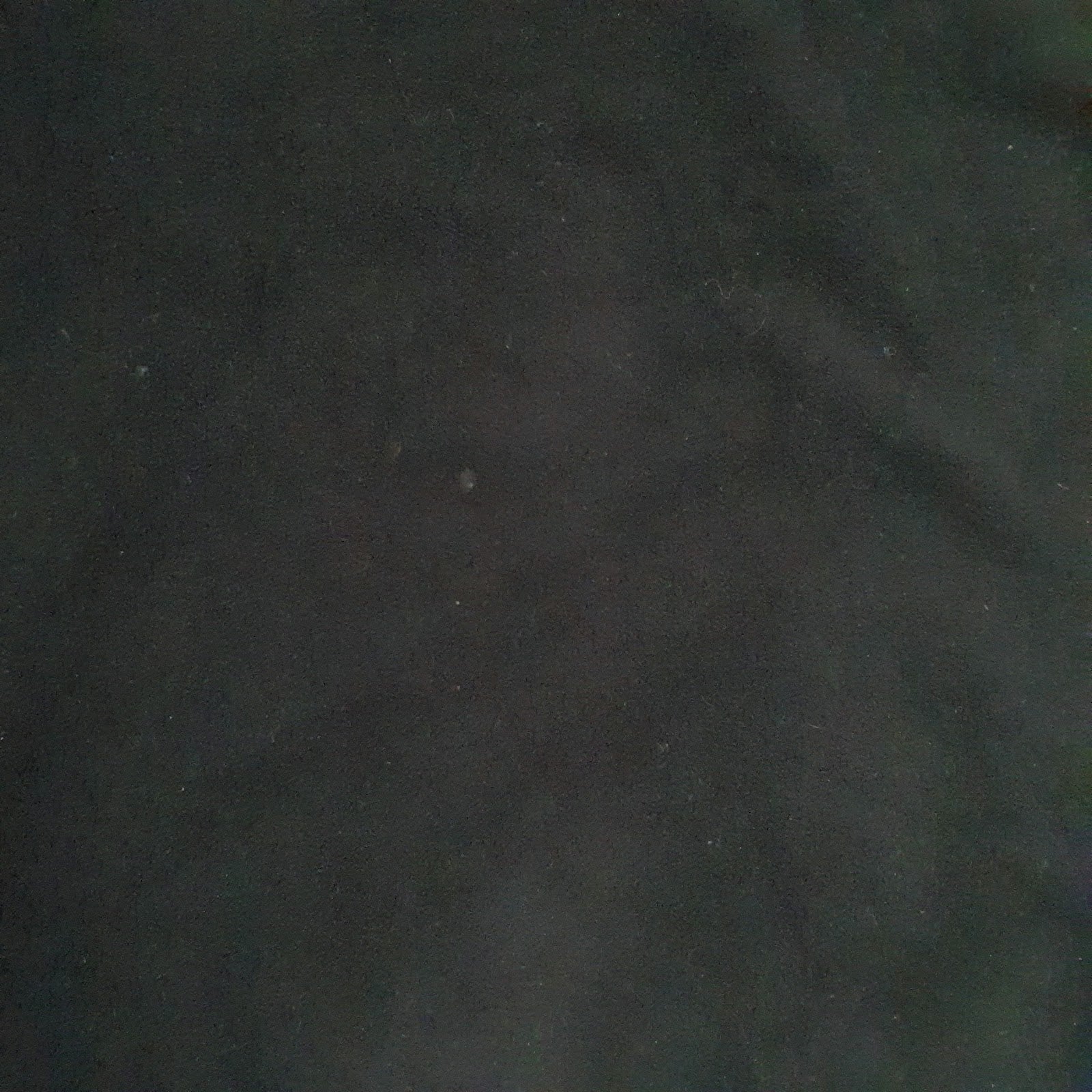 Mens Black Champion  Full Zip Jumper