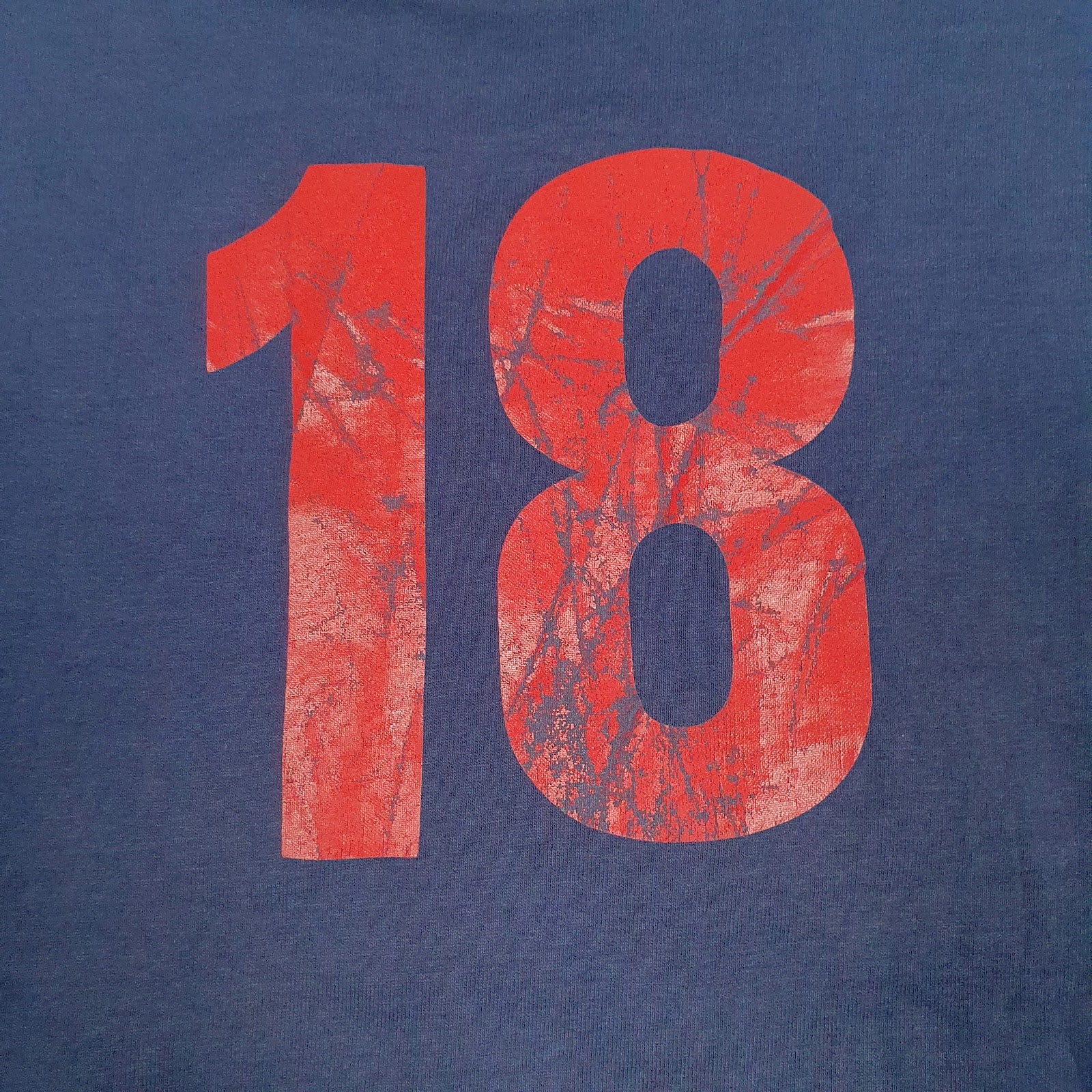 Mens Navy Fruit Of The Loom Indiana  T Shirt