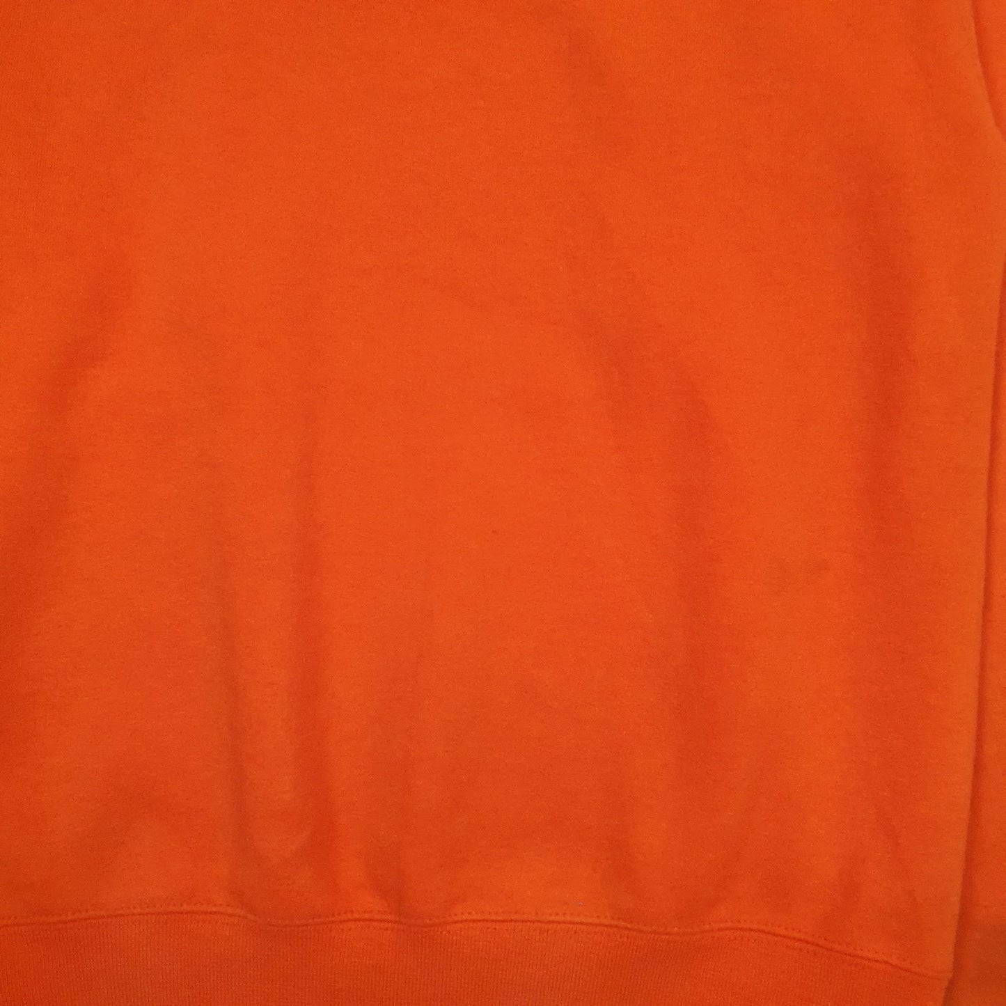 Mens Orange Champion Susquehanna University Hoodie Jumper