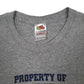 Mens Grey Fruit Of The Loom Eagles Volleyball  T Shirt