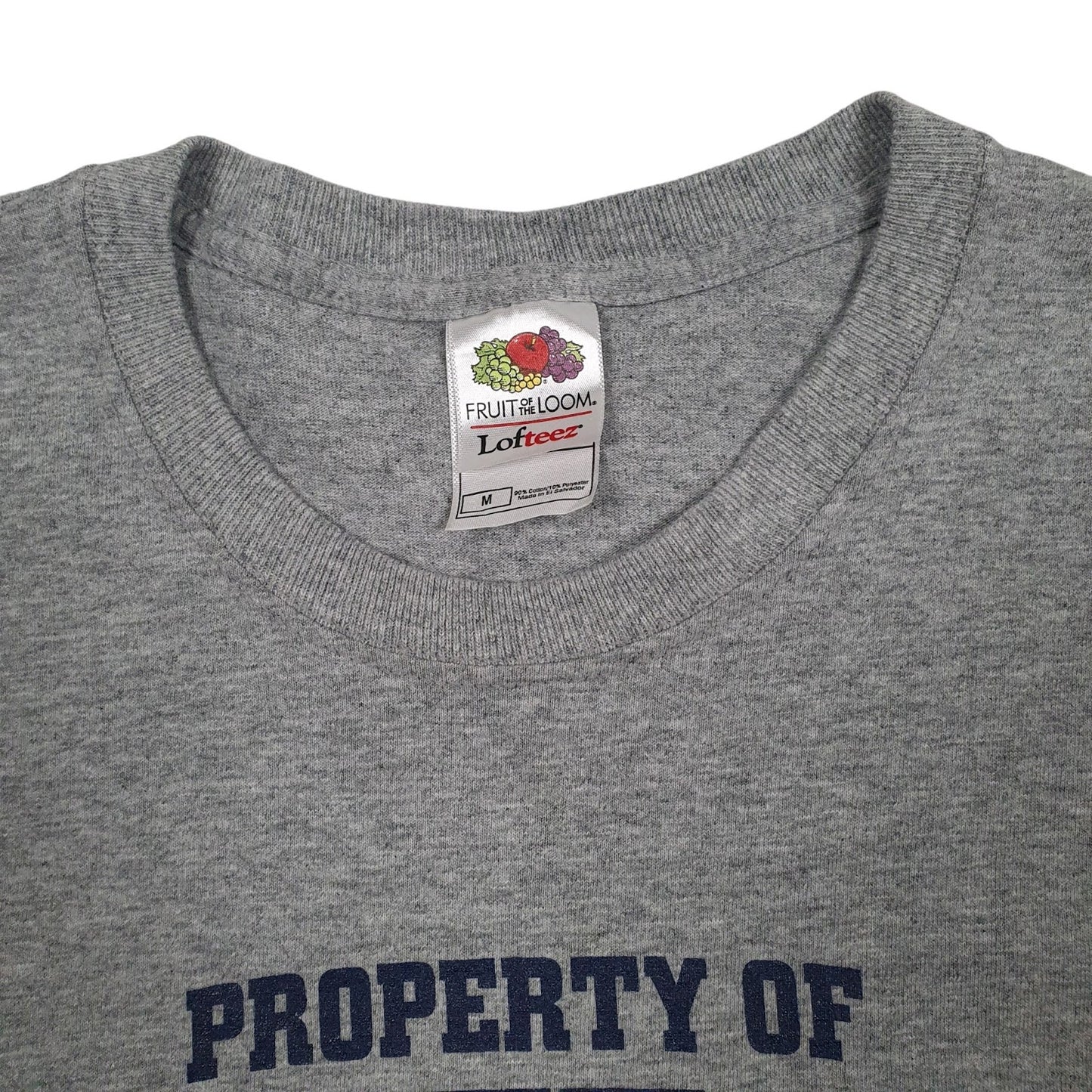 Mens Grey Fruit Of The Loom Eagles Volleyball  T Shirt