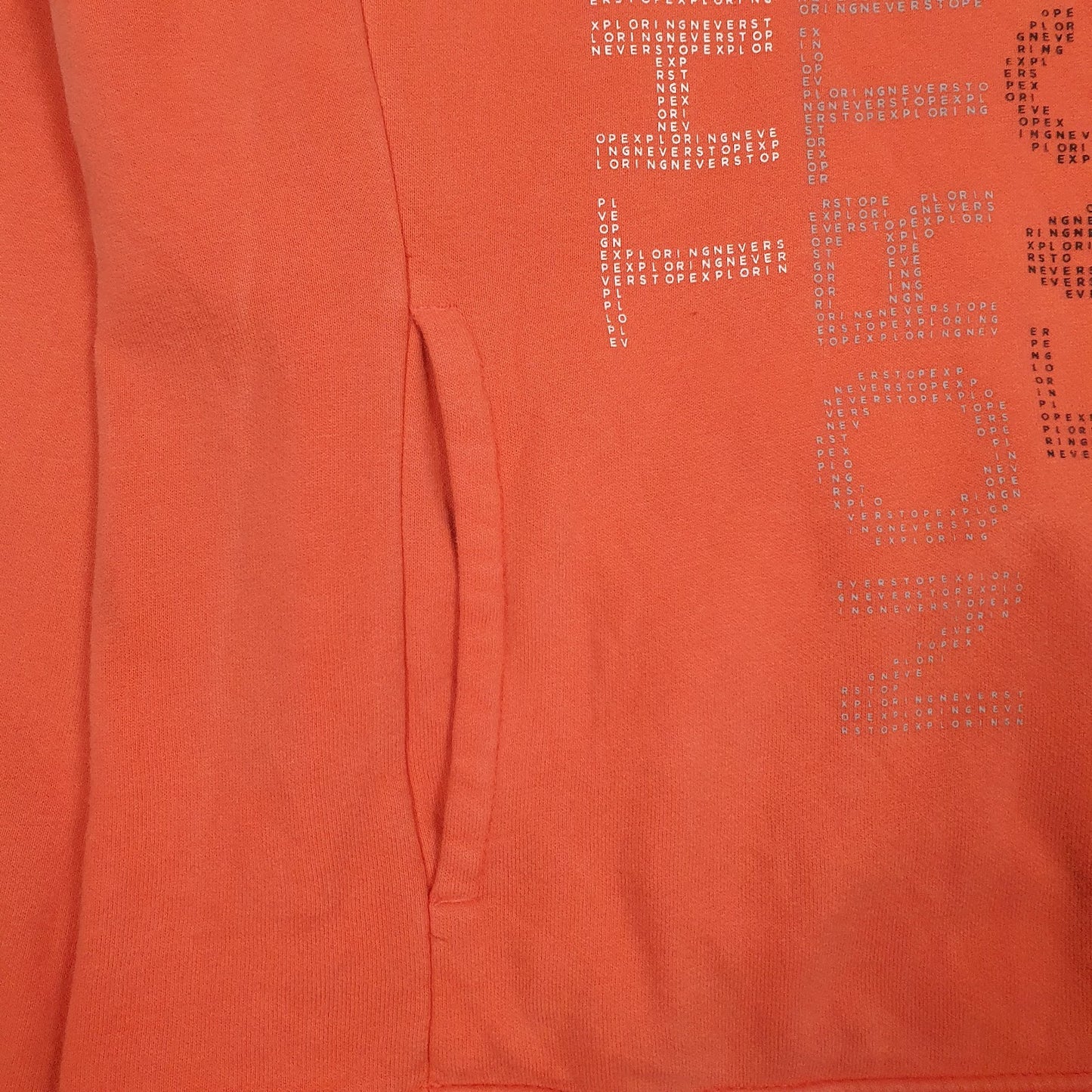 Womens Orange The North Face Spellout Hoodie Jumper