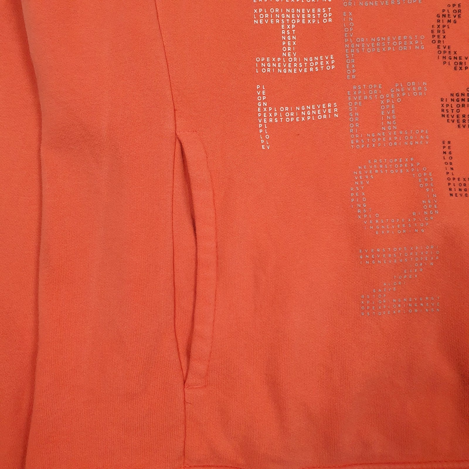 Womens Orange The North Face Spellout Hoodie Jumper