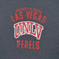 Mens Grey Unbranded University Of Nevada  T Shirt