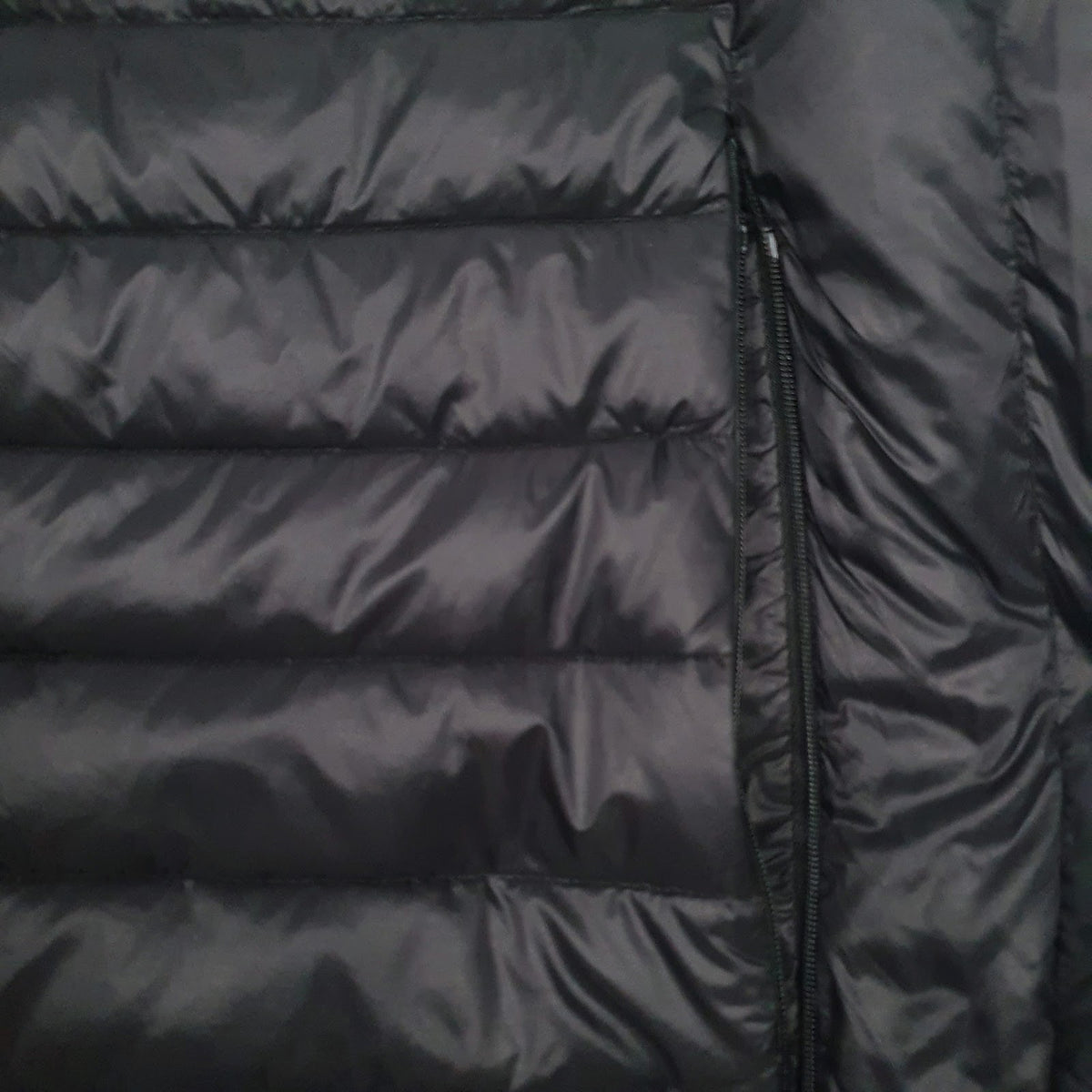 Womens Black Schott Gilet  Coat