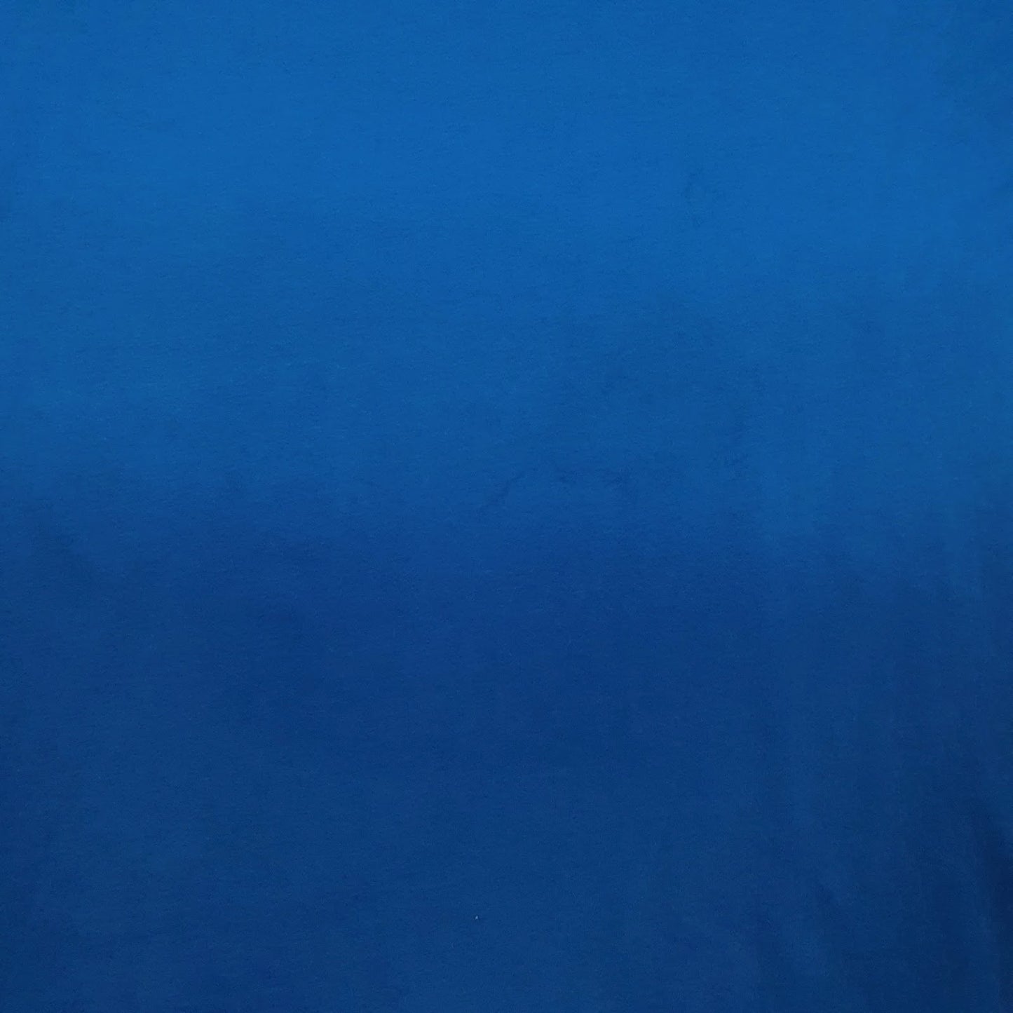 Mens Blue Carrera   T Shirt