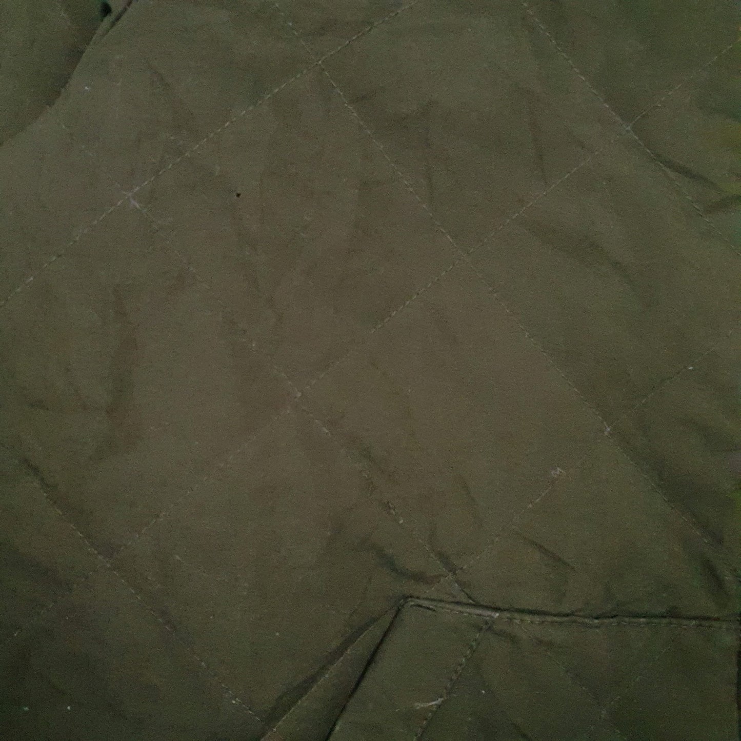 Mens Green Levis Padded  Coat