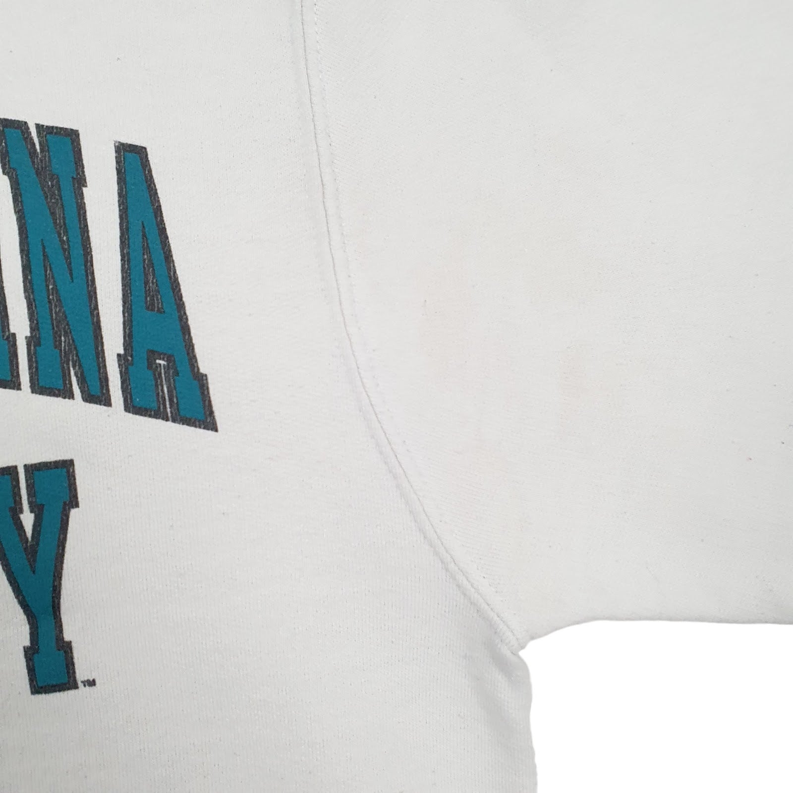 Mens White Champion Coastal Carolina University Hoodie Jumper