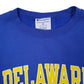 Mens Blue Champion Delaware Crewneck Jumper