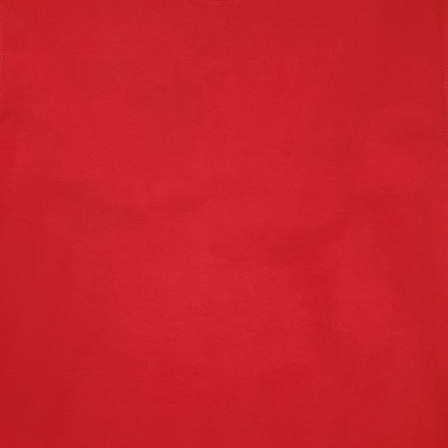 Mens Red Champion  Crewneck Jumper