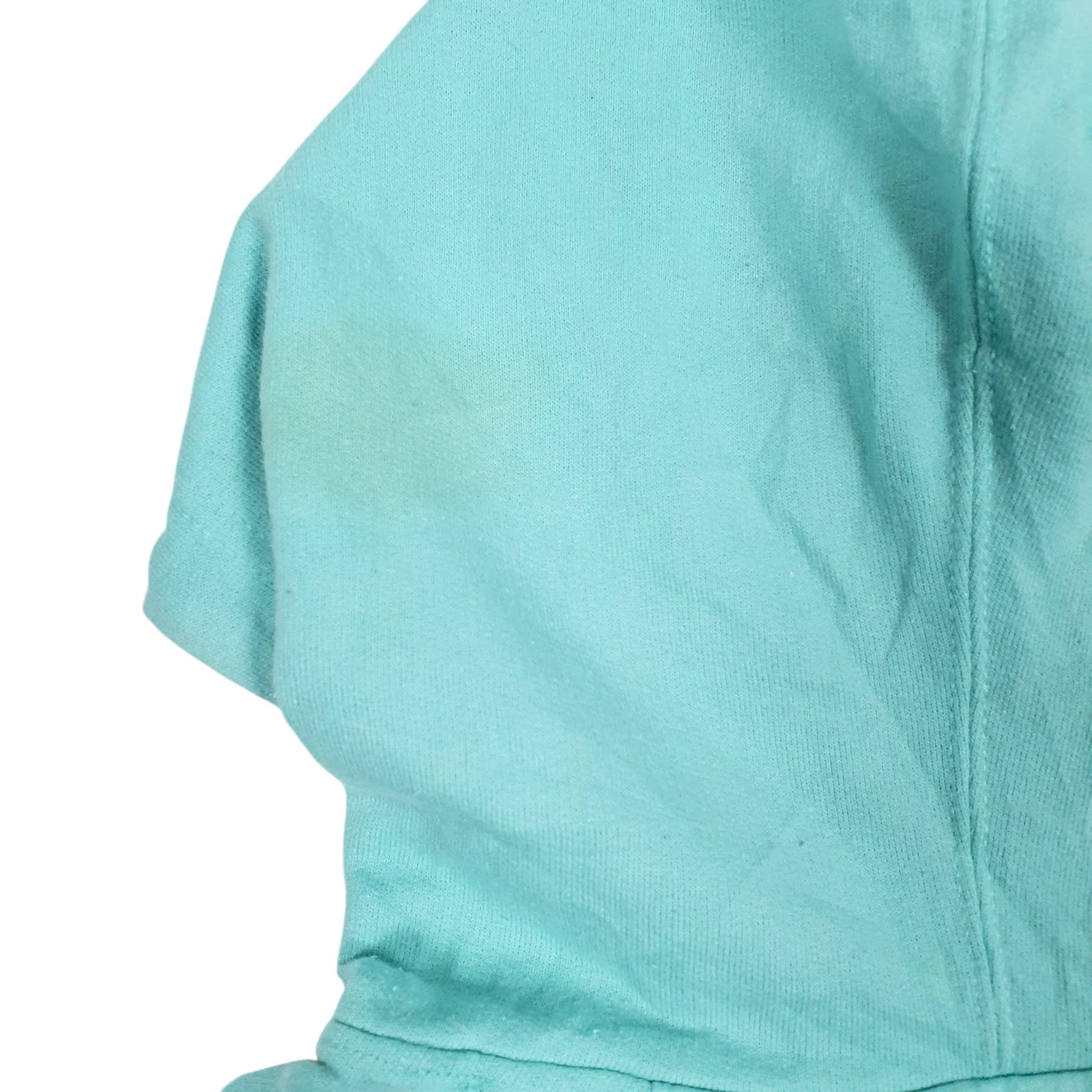 Mens Blue Champion Spellout Hoodie Jumper